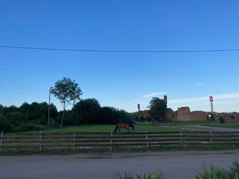 Horse in front of ancient castle ruins